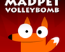Madpet Volleybomb